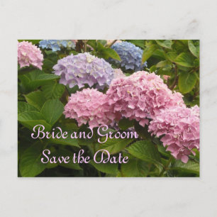 Hochzeit von Hydrangeas Save the Date Ankündigungspostkarte