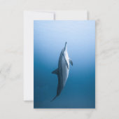 Hochzeit von Navy Blue unter dem Meer Dolphin Coas RSVP Karte (Rückseite)