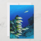 Hochzeit von Seefischen an der Seeküste Save The Date (Rückseite)