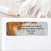 Hochzeit von Starfish in Sand Beach (Insitu)