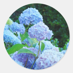 Hochzeit von Umschlag Aufklebern Blue Hydrangea Bl Runder Aufkleber
