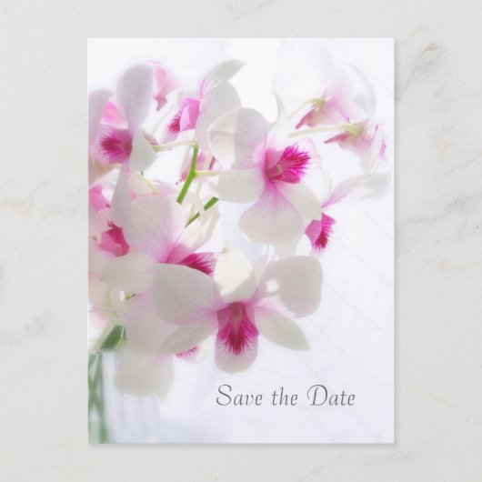 Hochzeit. Weiße Orchideen. Save The Date Ankündigungspostkarte (Vorderseite)