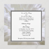 Hochzeiten in weißer Blume Einladung (Vorne/Hinten)