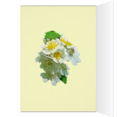 Hochzeiten wünschen Multiflora-Rose (Innen (Links))