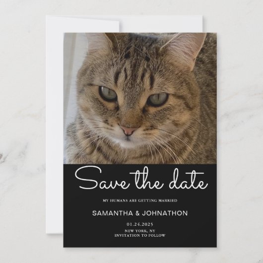 HochzeitkatzenFoto Save The Date (Vorderseite)