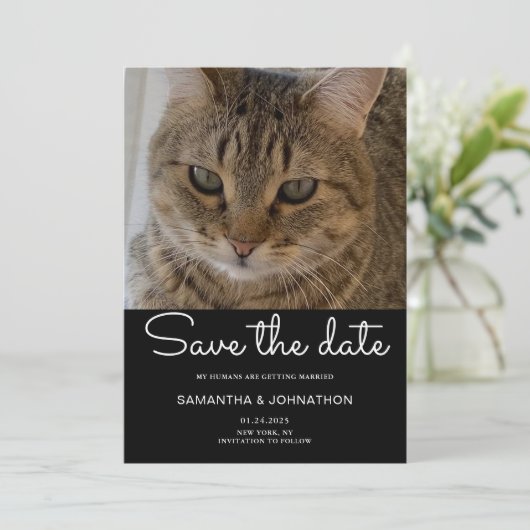 HochzeitkatzenFoto Save The Date (Stehend Vorderseite)
