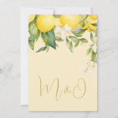 Hochzeitliche Probe Abendessen Citrus Sommer Moder Einladung (Rückseite)