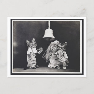 Hochzeits-Postkarte für Katzen im Vintage-Stil Postkarte