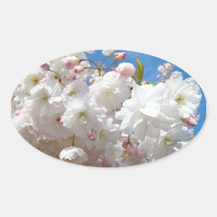 Hochzeits Siegel Schöne Weiße Rosa Blüten Frühling Ovaler Aufkleber