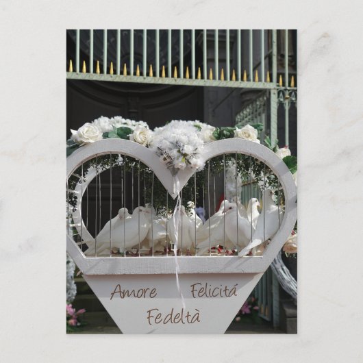 Hochzeits Tauben auf das Brautparts Postkarte (Vorderseite)