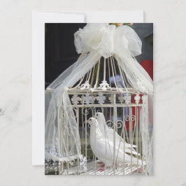 Hochzeits Tauben warten auf das Brautpaar Einladung