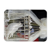 Hochzeits Tauben warten auf das Brautpaar Magnet (Horizontal)