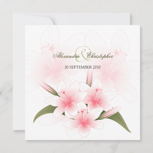 Hochzeitsankündigung zwischen Rosa und Weiß Einladung (Rückseite)