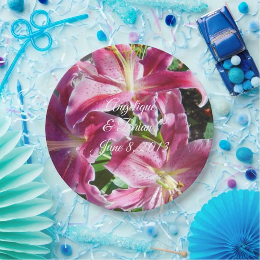 Hochzeitsempfang Pappteller (Party)