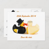 Hochzeitsenten 3 ... Postkarte (Vorne/Hinten)