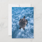Hochzeitsfeier am Blue Underwater Aquatic Turtle B RSVP Karte (Rückseite)