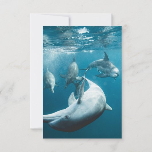 Hochzeitsfeier am Meeresstrand von Navy Underwater RSVP Karte (Rückseite)