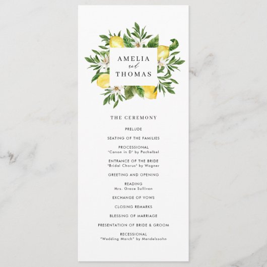 Hochzeitsfeier für Wasserfarben und Zitronen Programm (Vorderseite)