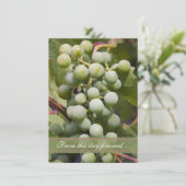 Hochzeitsfeier / Heiratsankündigung im Weingarten Ankündigung (Stehend Vorderseite)