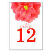 Hochzeitsfeiern in Locarno Tischnummer (Vorderseite)