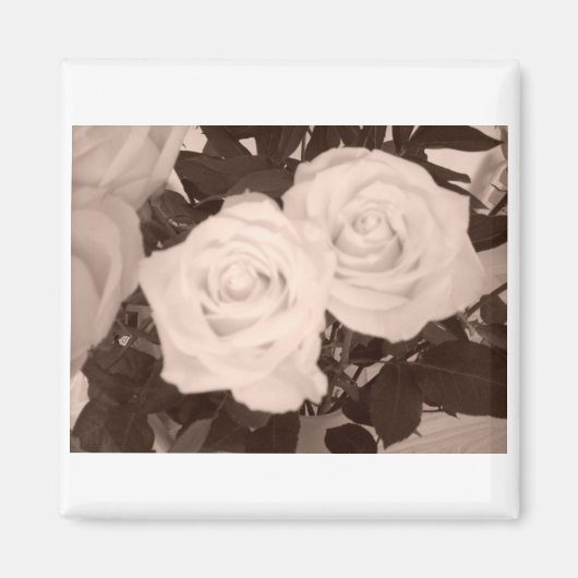 Hochzeitsfeiern Magnet (Vorne)