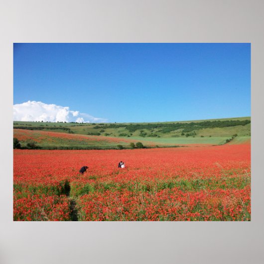 Hochzeitsfoto auf einem Feld roter Mohnblumen Poster (Vorne)