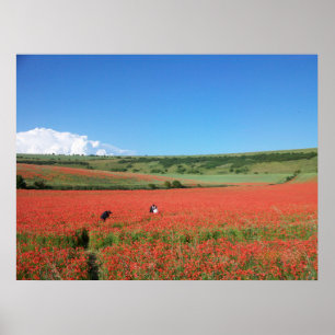Hochzeitsfoto auf einem Feld von Roten Mohnblumen Poster