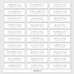 Hochzeitsgast und Adresse Moderner Chic Spaß Aufkleber<br><div class="desc">Besteht aus einfachen Sans Serif und spielerischer Schrift Typografie. Diese Elemente sind einfach,  elegant und modern. Das hat 30 kleinere Aufkleber in einem Blatt. Dieses wurde von White Paper Birch Co. exklusiv für Zazzle entworfen. Abrufbar unter: http://www.zazzle.com/store/whitepaperbirch</div>