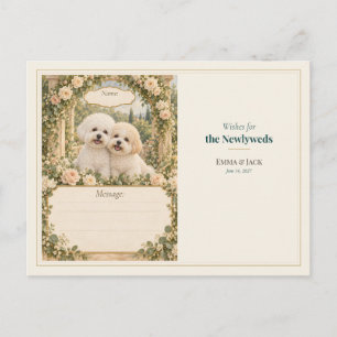 Hochzeitsgästebuch-Wünsche für Bichon Frise Postkarte