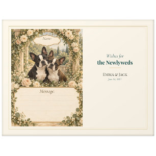 Hochzeitsgästebuch-Wünsche für Boston Terrier Postkarte