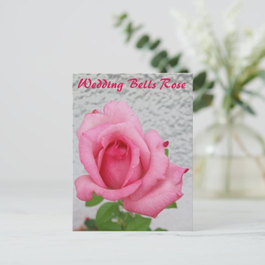 Hochzeitsglocken Rose Blume - Postkarte für Schnec (Stehend Vorderseite)