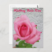 Hochzeitsglocken Rose Blume - Postkarte für Schnec (Vorne/Hinten)