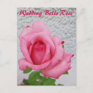 Hochzeitsglocken Rose Blume - Postkarte für Schnec