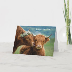 Hochzeitsglückwünsche Highland-Kuh Kuss Karte