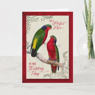 Hochzeitsglückwünsche Vintage Lorikeet Papageien Karte