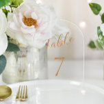 Hochzeitsgold elegante Acrylfaser-Tischnummer Acryleinladungen<br><div class="desc">Moderne trendige Imitate Rose Gold Folie elegante Kalligraphie Drehbuch Hochzeitsempfang Acryl durchsichtige (oder mattiert opak) Tischkarte. BITTE BEACHTEN SIE, dass Sie zwischen rechteckigen oder bogenförmigen Formen wählen können. Um verschiedene Zahlen zu bestellen, müssen Sie sie individuell anpassen und einzeln in den Warenkorb legen (eine Karte mit 1, eine andere mit...</div>