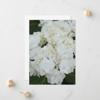 Hochzeitsgown Hydrangea Wedding Ankündigung