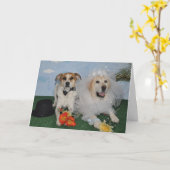Hochzeitskarte, Foto von 2 Hunden am Hochzeitstag Karte (Gelbe Blume)