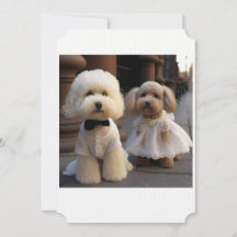Hochzeitskarte für Hundebesitzer