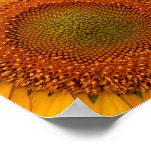 Hochzeitskarte für Sonnenblumen Poster (Ecke)