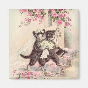 Hochzeitskatzenbraun und -raum magnet