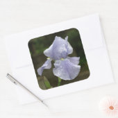 Hochzeitskleber Blue Iris Blume mit Raindrops Quadratischer Aufkleber (Umschlag)