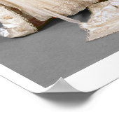 Hochzeitskleid von Mary, Prinzessin Royal, 1922 Poster (Ecke)