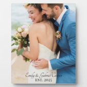 Hochzeitskunststoff-Foto Fotoplatte (Vorderseite)