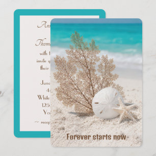 Hochzeitsmeerfächer mit Sanddollar und Seestern Einladung
