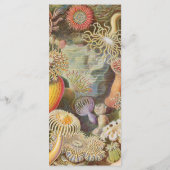 Hochzeitsmenü Sea Life Coral Reef (Rückseite)
