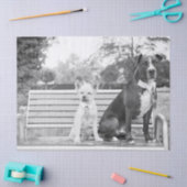 Hochzeitspapier für Doggie Seidenpapier (Basteln)