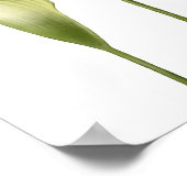 Hochzeitsposter-Geschenke "Zarte Calla-Lilien". Poster (Ecke)