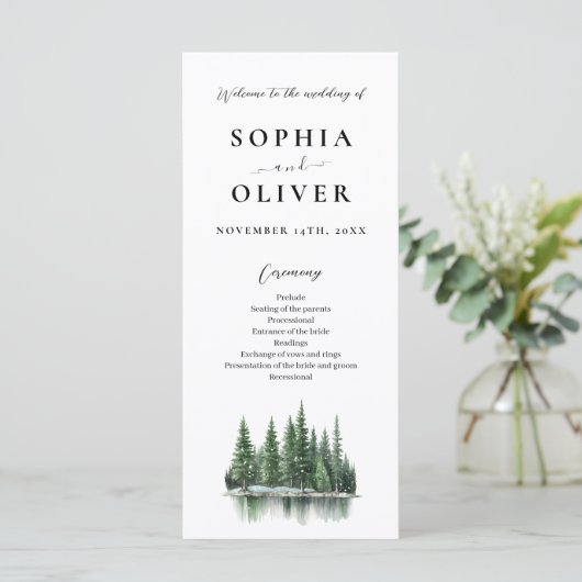 Hochzeitsprogramm für den modernen Winterwald (Stehend Vorderseite)