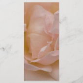 Hochzeitsprogramm für die blass-rosa Rose Programm (Rückseite)